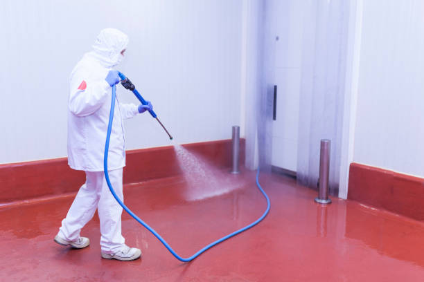 Best Spring Cleaning  in Portageville, MO